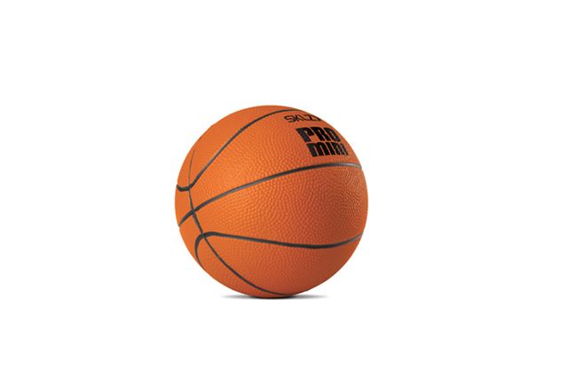Balón Basketball PRO MINI SWISH 5 SKLZ